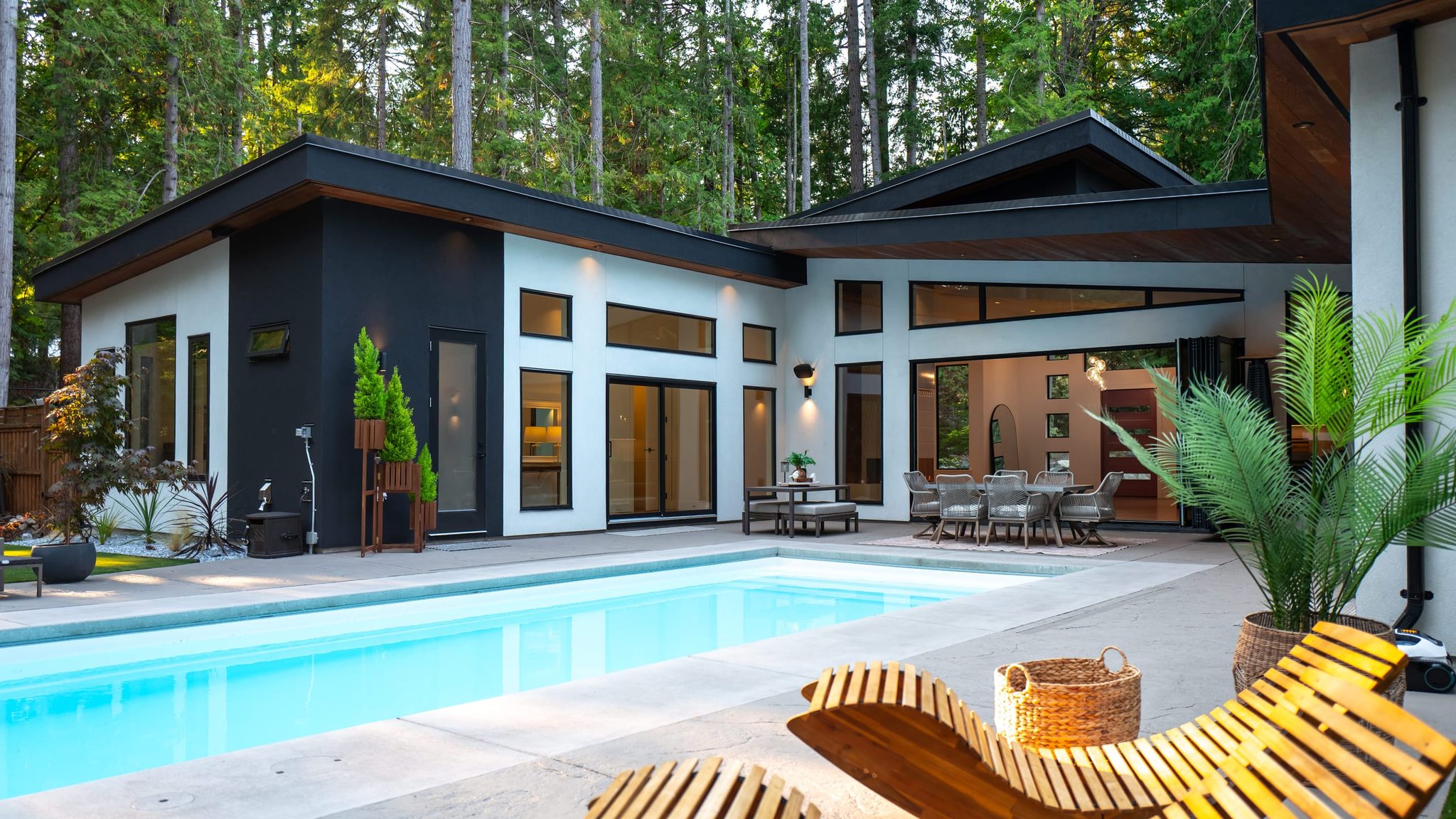 Pool and covered patio beside a single-level modern home framed by tall firs