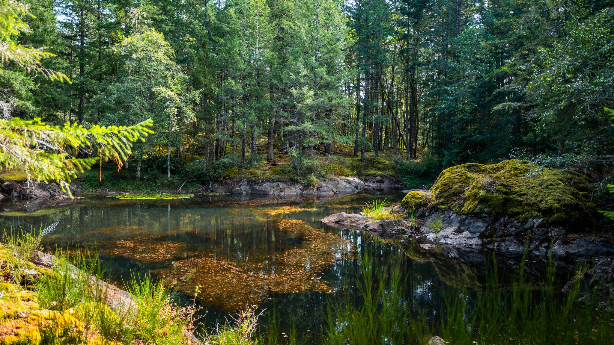 1870Millstream(ground)-04.jpg