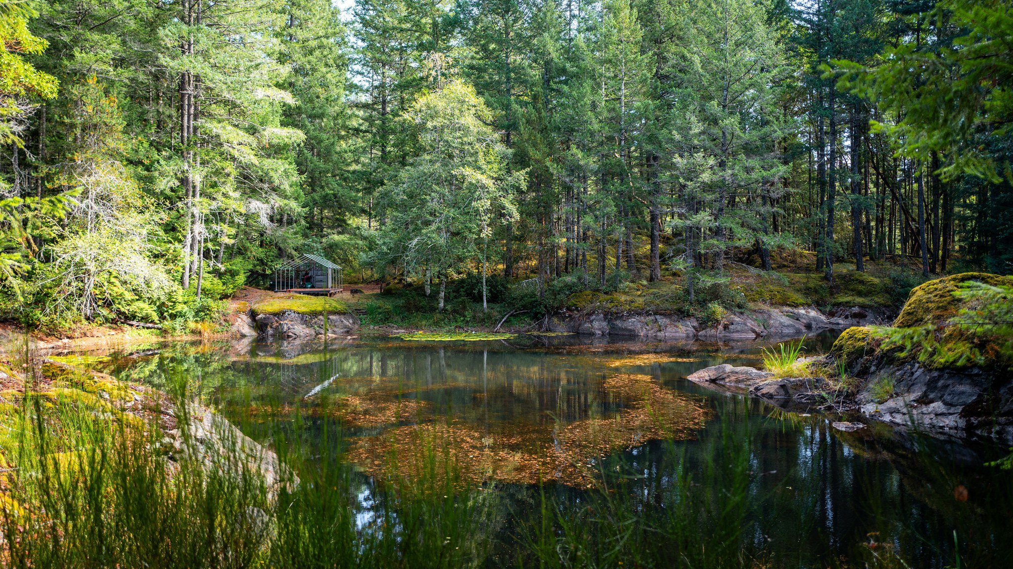 1870Millstream(ground)-05.jpg