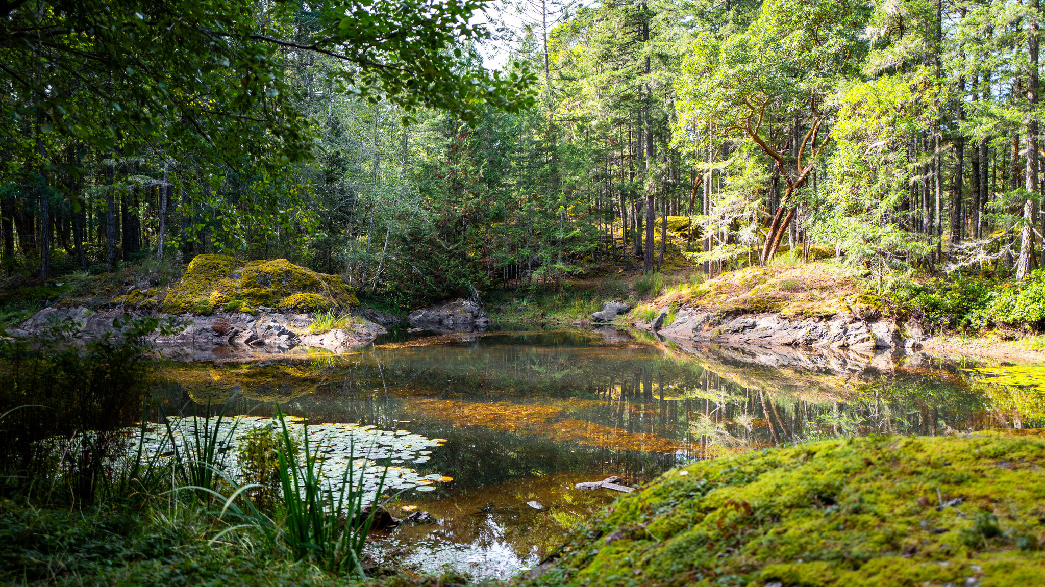 1870Millstream(ground)-06.jpg
