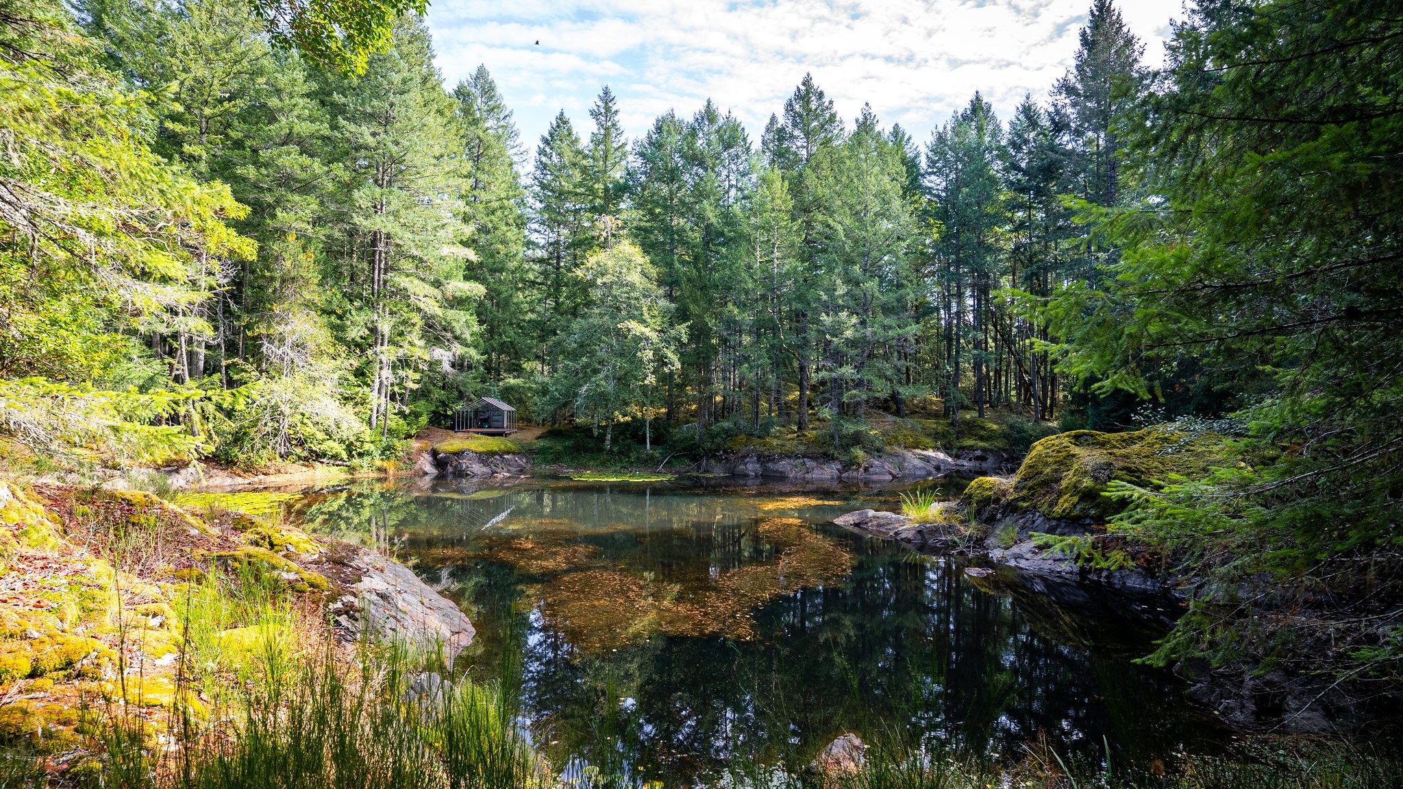 1870Millstream(ground)-14.jpg