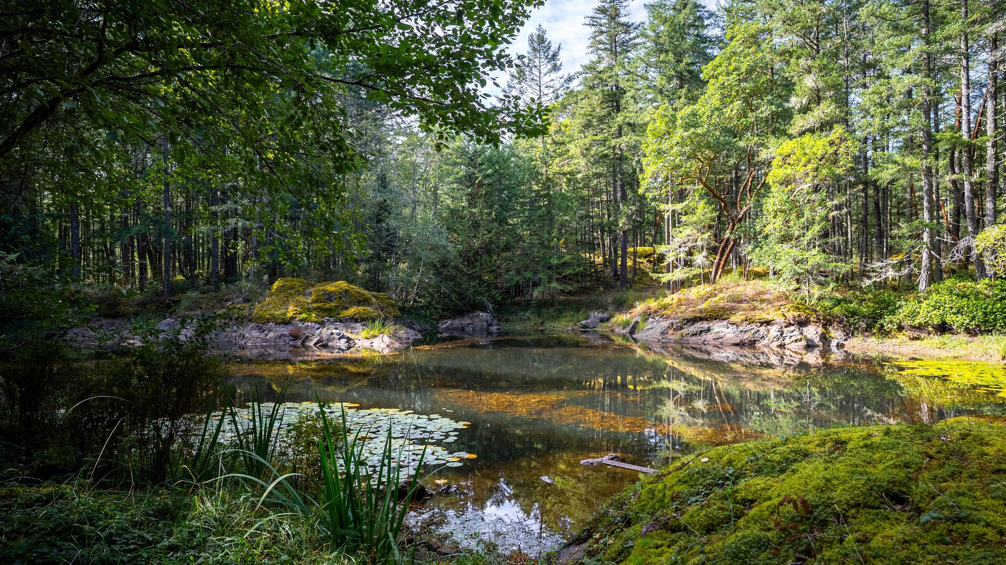 1870Millstream(ground)-15.jpg